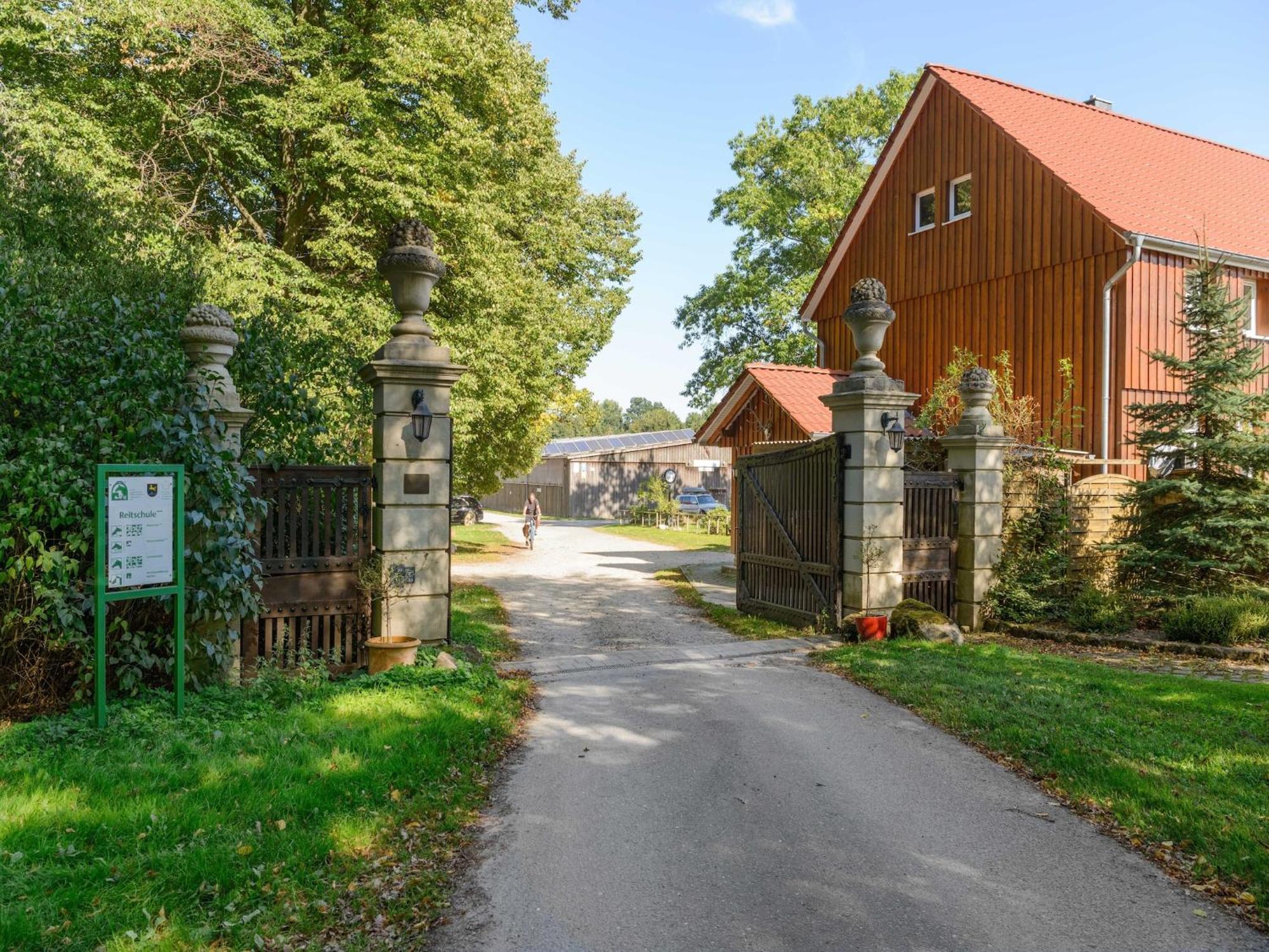 Cozy Holiday Home On A Horse Farm In The L Neburg Heath 에스치드 외부 사진
