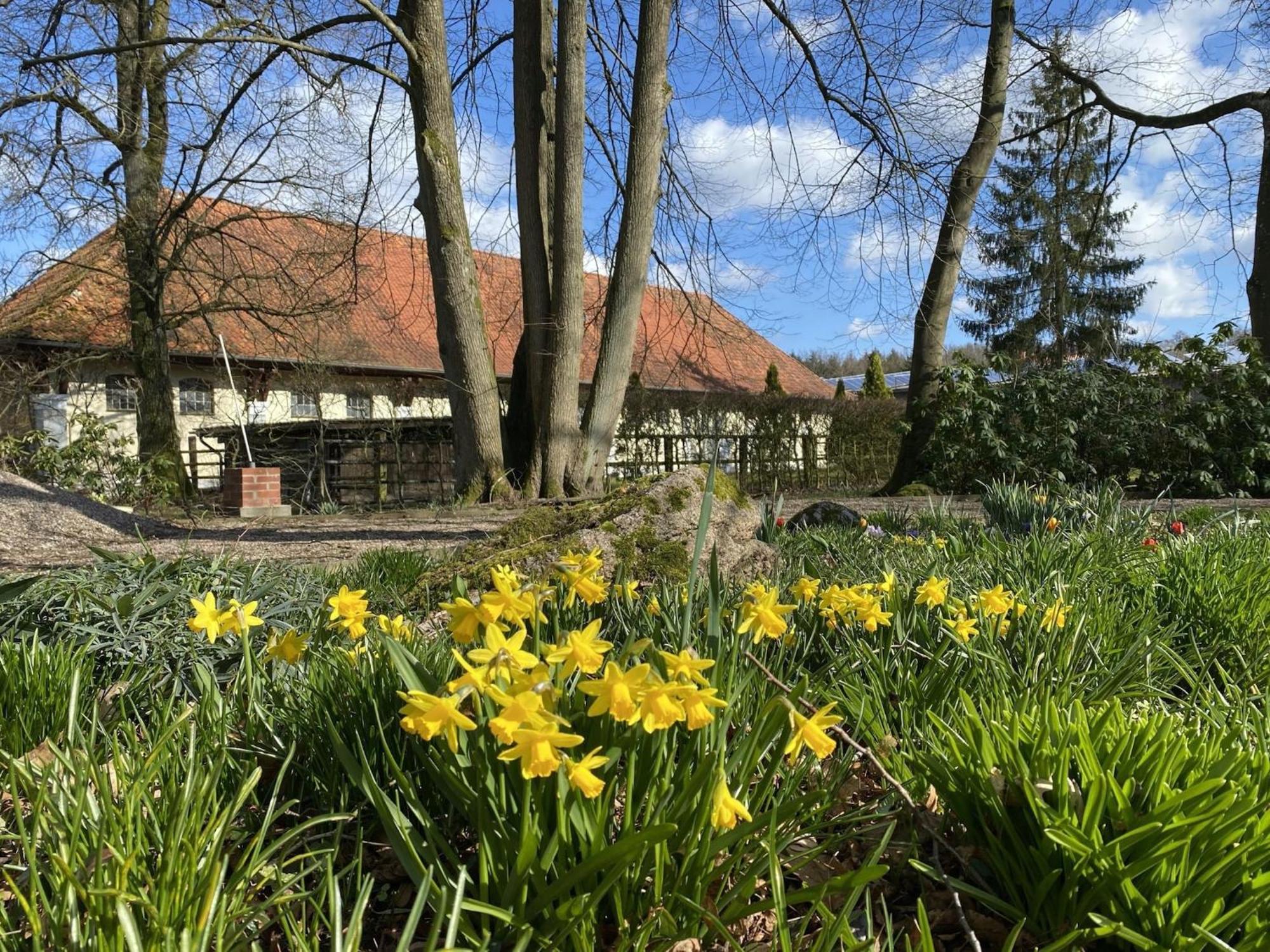 Cozy Holiday Home On A Horse Farm In The L Neburg Heath 에스치드 외부 사진