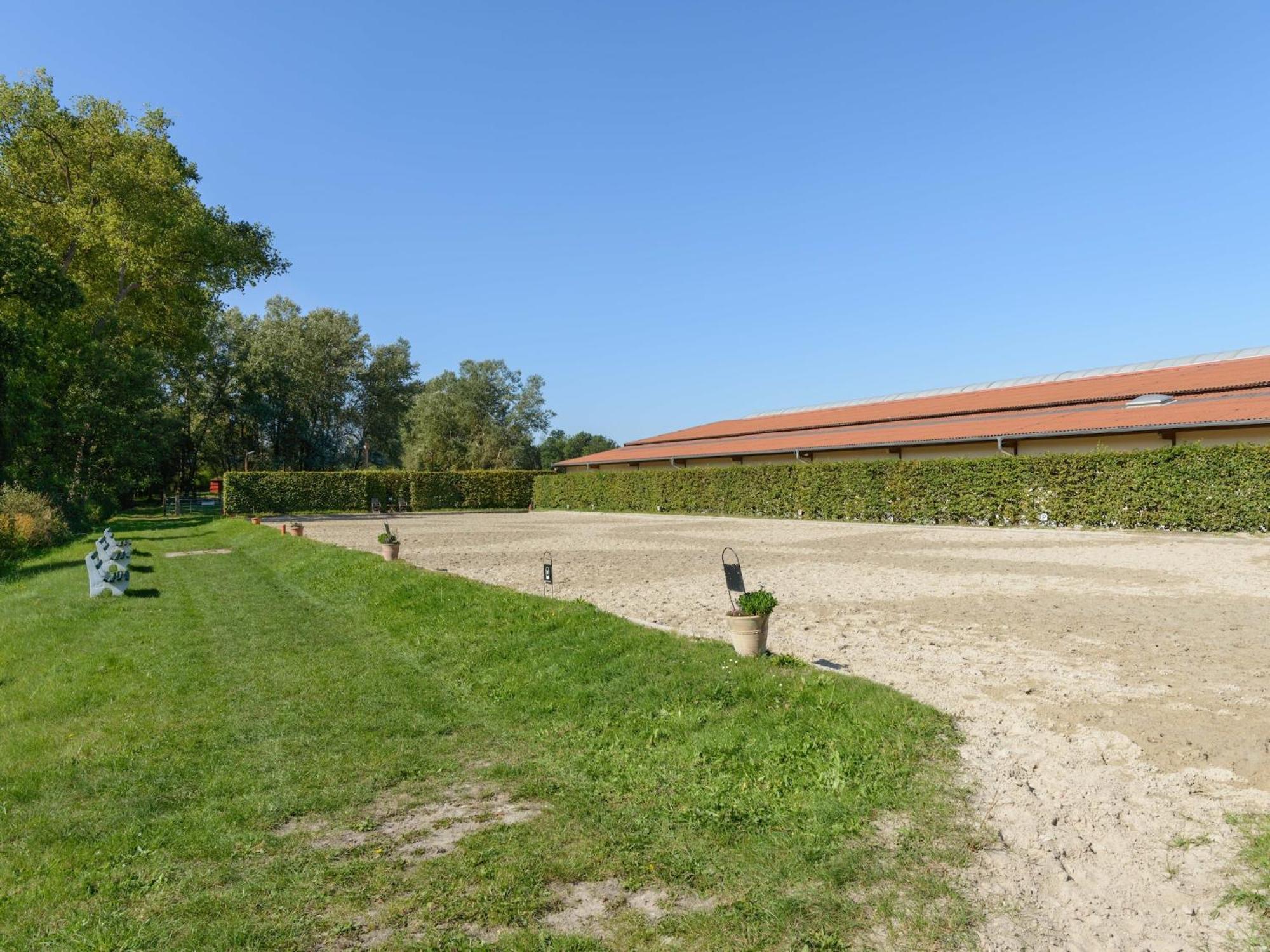Cozy Holiday Home On A Horse Farm In The L Neburg Heath 에스치드 외부 사진