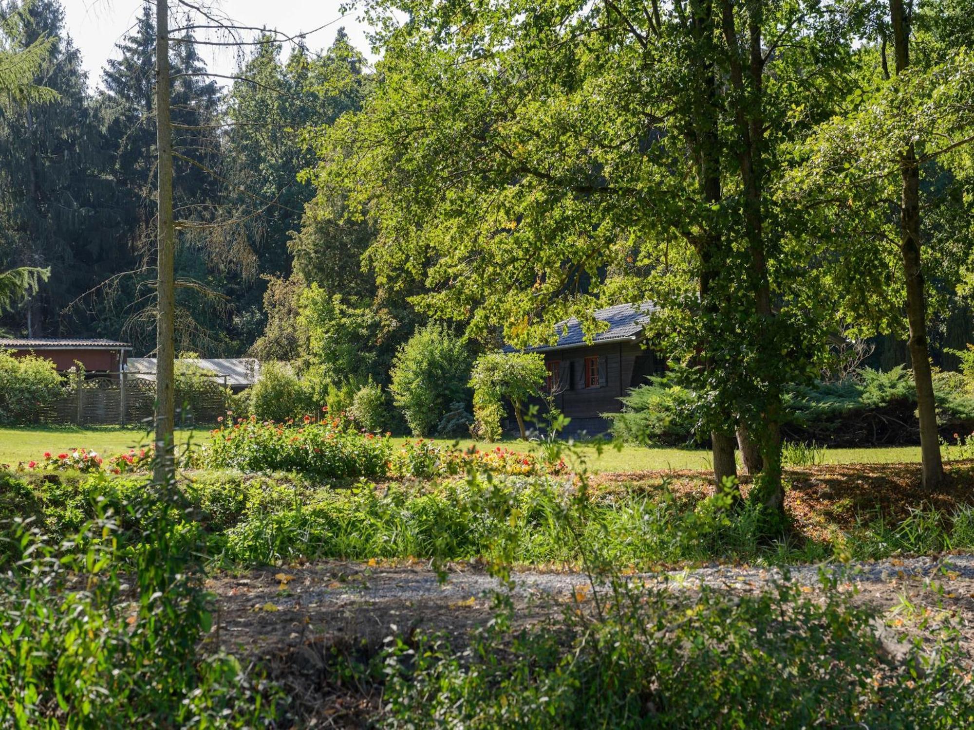 Cozy Holiday Home On A Horse Farm In The L Neburg Heath 에스치드 외부 사진
