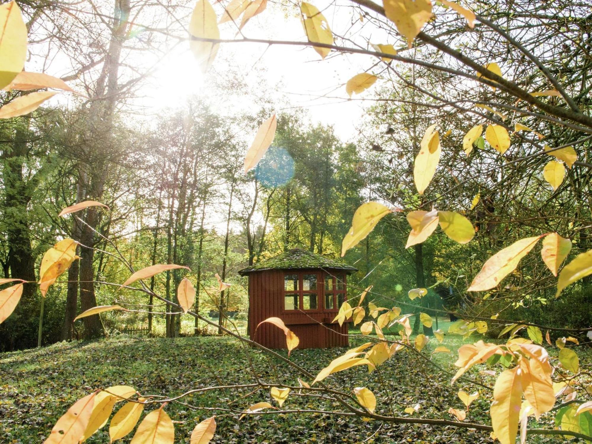 Cozy Holiday Home On A Horse Farm In The L Neburg Heath 에스치드 외부 사진