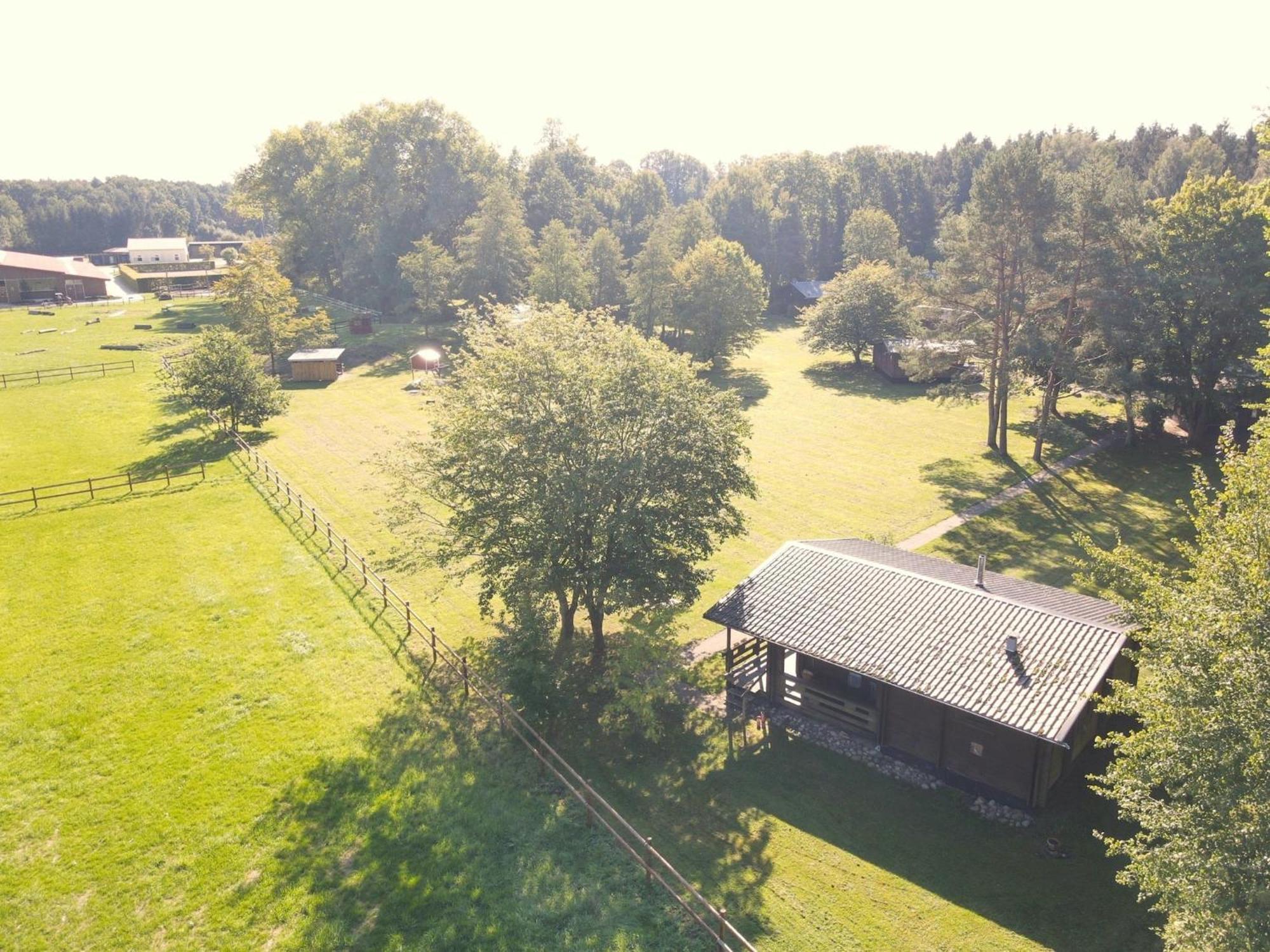 Cozy Holiday Home On A Horse Farm In The L Neburg Heath 에스치드 외부 사진