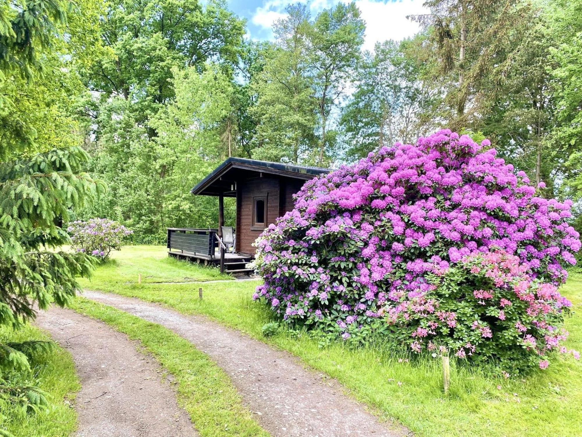 Cozy Holiday Home On A Horse Farm In The L Neburg Heath 에스치드 외부 사진