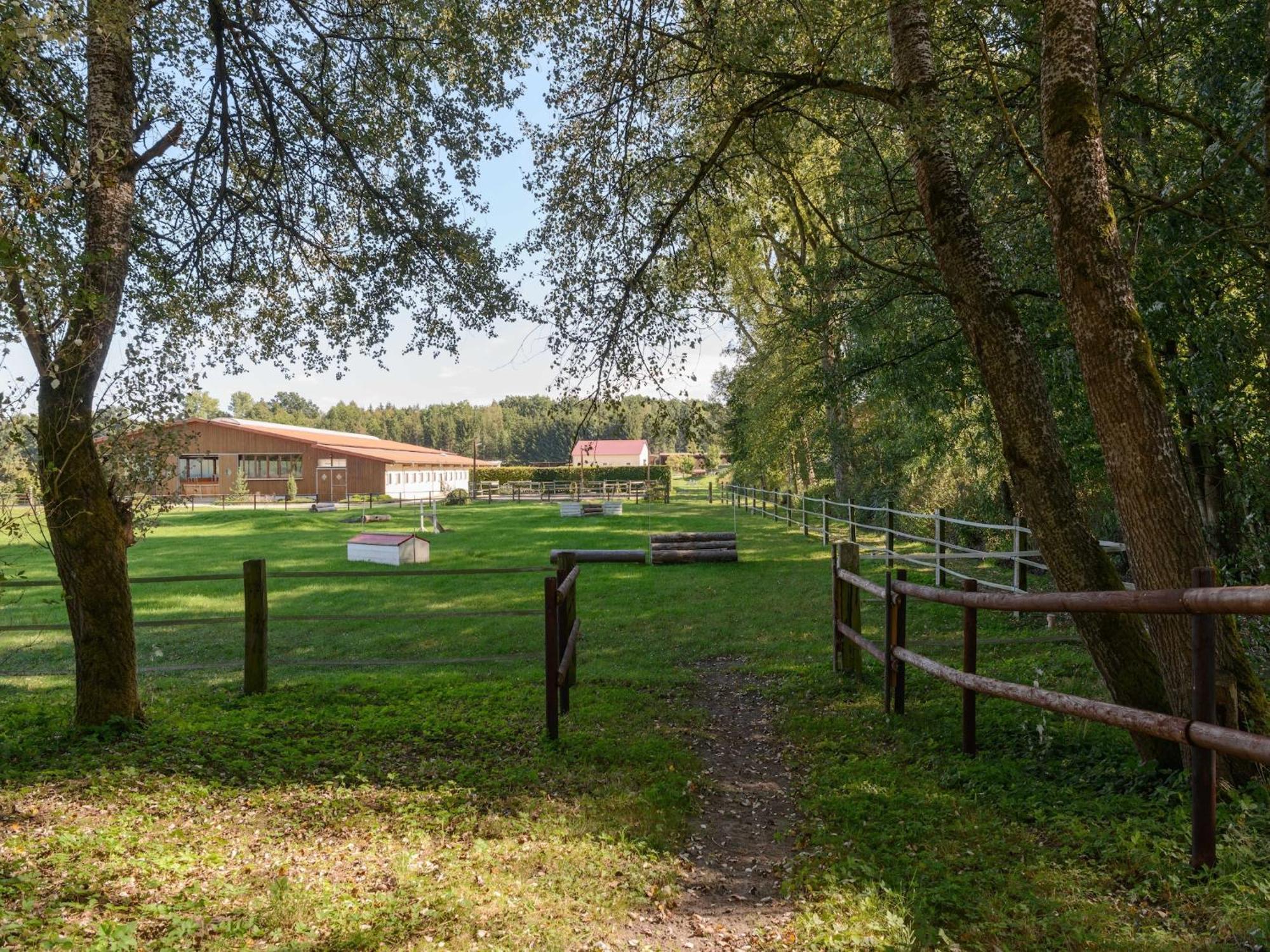 Cozy Holiday Home On A Horse Farm In The L Neburg Heath 에스치드 외부 사진