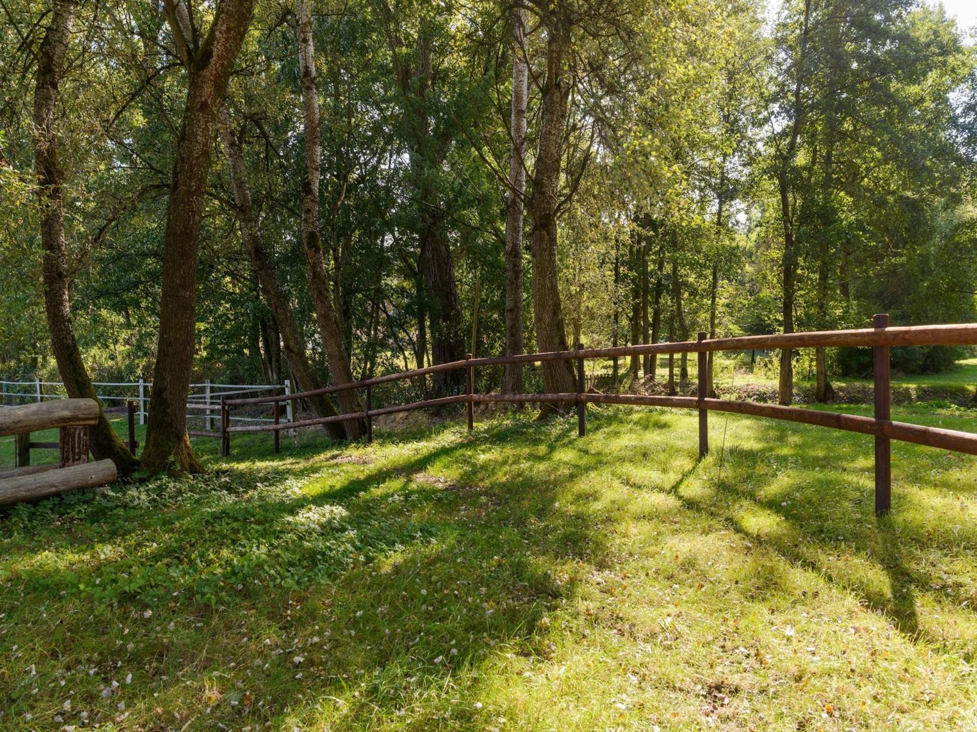 Cozy Holiday Home On A Horse Farm In The L Neburg Heath 에스치드 외부 사진