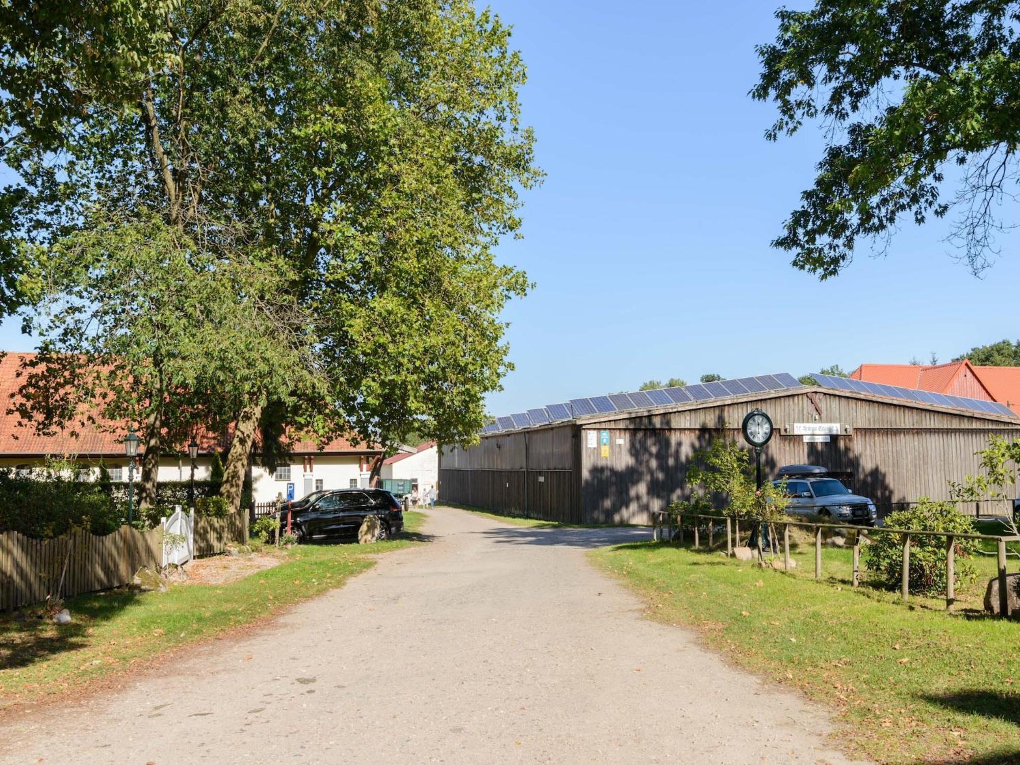 Cozy Holiday Home On A Horse Farm In The L Neburg Heath 에스치드 외부 사진