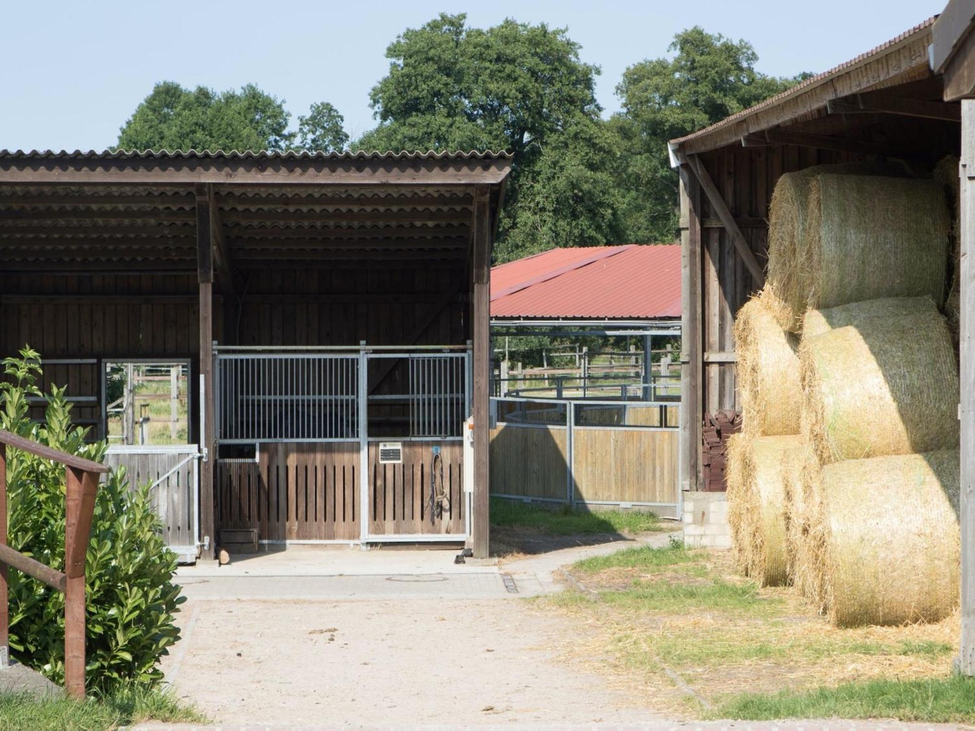 Cozy Holiday Home On A Horse Farm In The L Neburg Heath 에스치드 외부 사진